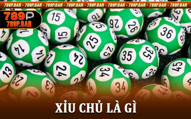 Xỉu Chủ Là Gì